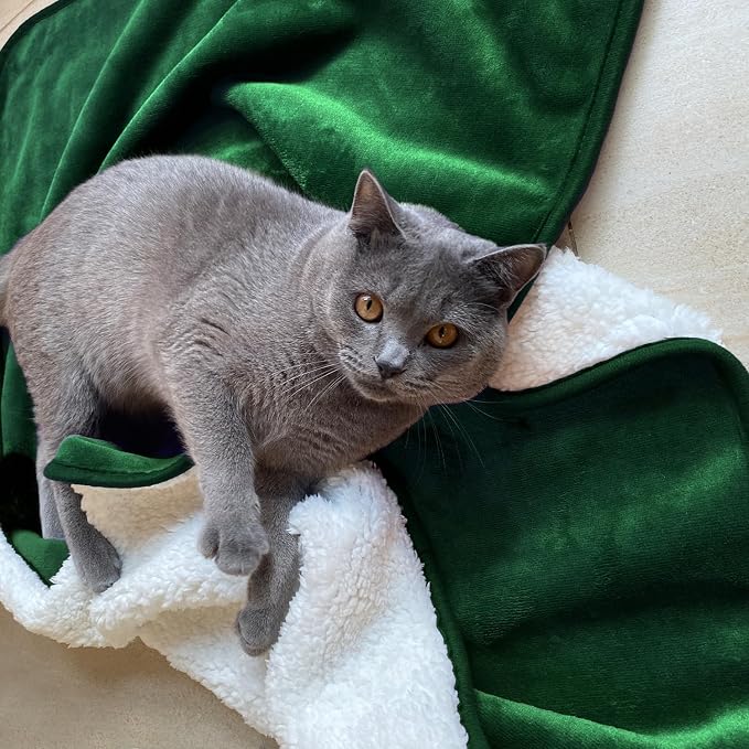 Waterproof Blanket for Bed Couch Sofa, Soft Liquid Pee Proof Pet Blanket for Dog Puppy Cat, Reversible Sherpa Fleece Furniture Protector (Green, 30x40 inches) - Image 2