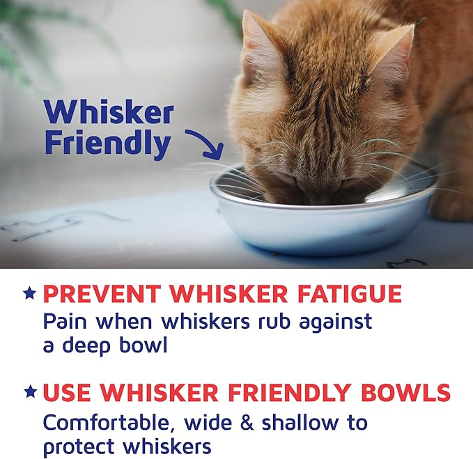 Stainless Steel Cat Bowl for Food & Water by Americat – Made in USA – Dishwasher Safe, Human Grade, Whisker Friendly Dish (1 Bowl) - Image 4