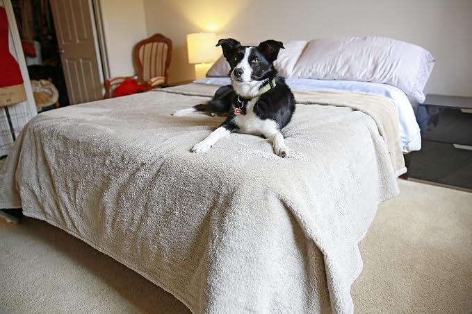 Kritter Planet Waterproof Reversible Pet Blanket for Dogs and Cats | 80 x 90 Inch, Waterproof Cover for Sofa and Bed, Washable Protection Against Fur, Dirt, Scratches and Everyday Messes - Image 4