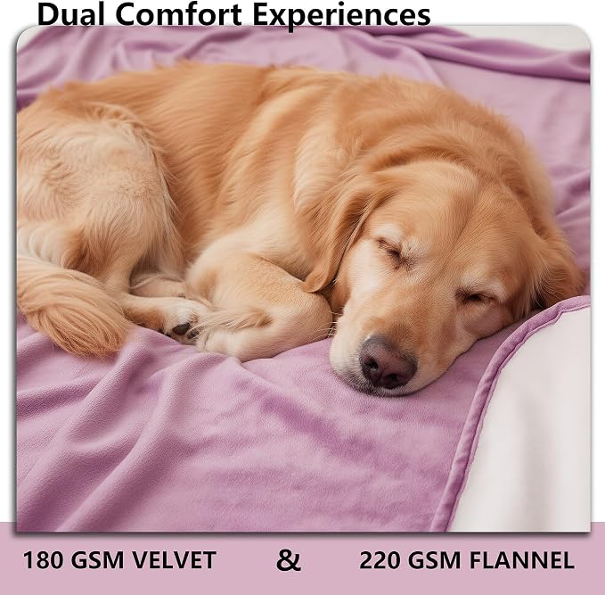 Waterproof Blanket - Reversible Dog Throw as Furniture Protector | Soft Velvet & Flannel, TPU Leak-Proof Liner, Machine Washable, Fits Couch and Bed, 52" x 82", Purple/Cream - Image 4