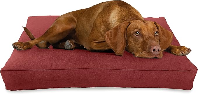 Large - 42 x 28 x 5 - Cranberry Premium Organic Hemp Dog Bed - CertiPUR Fill - Removeable Cover by BeanProducts