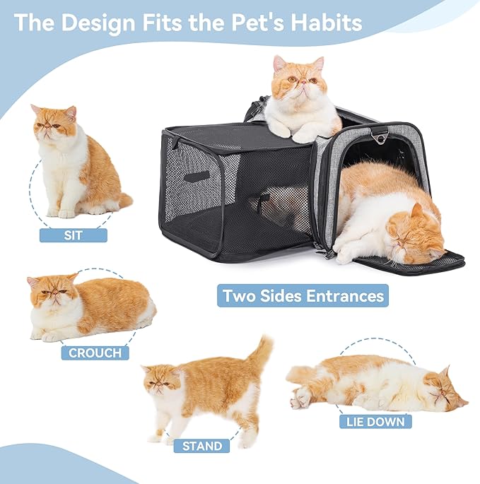 Petsfit 19"X12" X12" Expandable Pet Carrier, Square Expansion Reduces Pet Anxiety, Escape-Proof Self-Locking Zippers, 3 Easy-Access Entrances, for Cats & Small Dogs up to 18 lbs