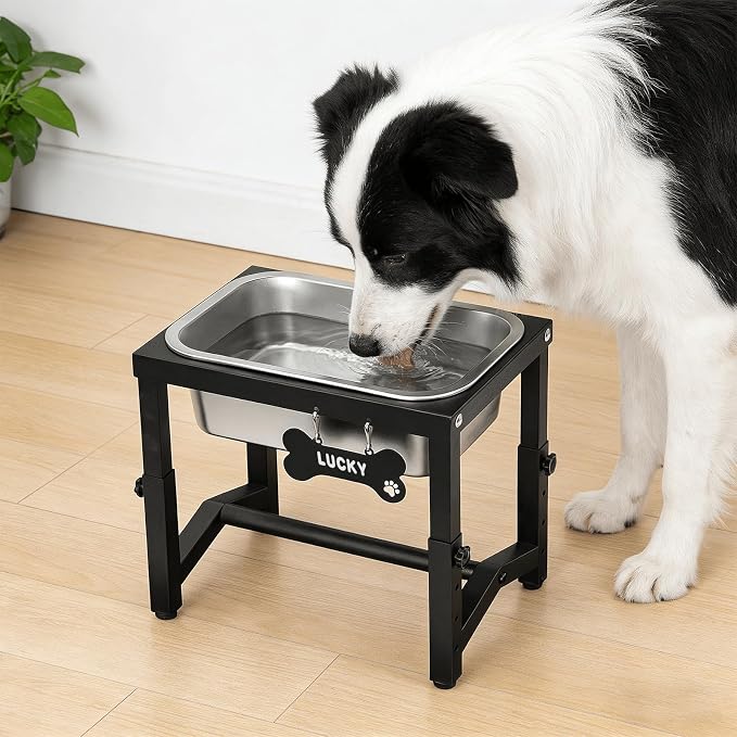 1.2 Gallon Elevated Large Dog Water Bowl, 4 Adjustable Height 7.8'',9.2'',10.6'',12''Raised Stainless Steel Bowl Stand for Small/Medium/Large Breed, Metal Dog Feeding Station for Relief Joint Pressure - Image 6