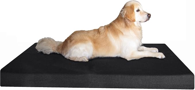 Dogbed4less Jumbo Orthopedic Gel Memory Foam Dog Bed, Waterproof Liner with Durable Washable Black Canvas Cover, 55X47X4 Inch by Dogbed4less