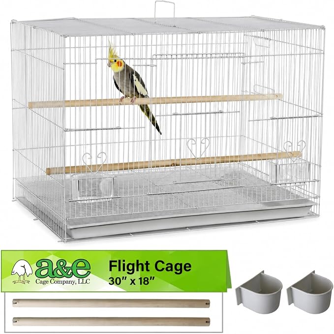 A&E Cage Co 504 Flight Bird Cage for Finches & Parakeets, 30"x18"x18" White | 2 Slide-Up Feeder Doors, Wood Perch, Slide-Out Cleaning Tray, Carry Handle, Safe Bar Spacing for Small Birds by Unknown