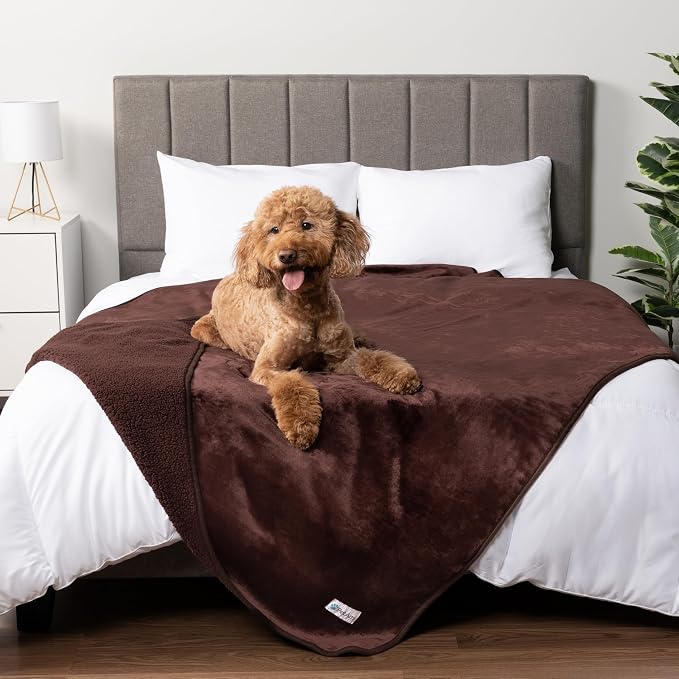 PetAmi Waterproof Dog Blanket for Extra Large Dogs, Pee Proof Pet Blanket for Bed Couch, Reversible Water Proof Blanket for Puppy Indoor Cat, Soft Dog Crate Cover Washable, Queen 90x90 Brown by PetAmi