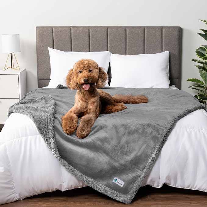PetAmi Waterproof Dog Blanket for Couch, Queen 90x90, Pee Proof Sherpa Fleece Reversible Pet Throw, Furniture Protector for Bed Sofa, Soft Washable Cover for Large Dogs Cats, Light Grey by PetAmi