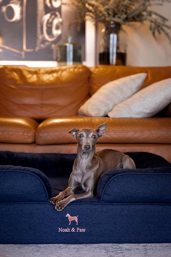NOAH & PAW Large Dog Bed, 35x25x11 Inch, Orthopedic Dog Beds, Eggshell Memory Foam Infused with Cooling Gel, Inner Cover, Water Resistant, Machine Washable (Denim Sofa Collection) - Image 8