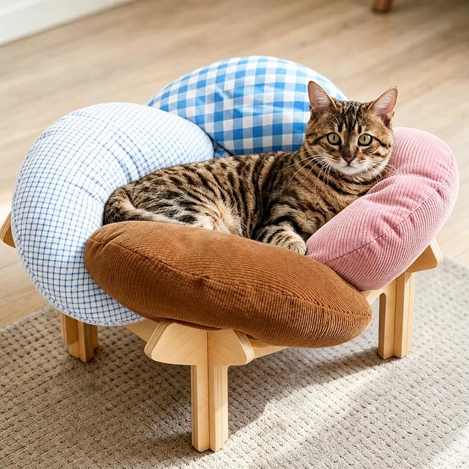 PACHIRA Elevated Cat Bed Wooden, Cat Couch Fluffy, Cat Sofa Flower for Indoor Cats, Raised Cat Bed with Washable Fluffy Cushion and Birch Wood, Cat Chair for Kitty and Puppy, Cat Furniture (Colored) by Unknown