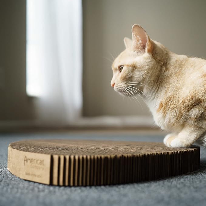 Cat Scratcher by Americat – Made in USA Cardboard Scratching Pad & Lounger – X Large, 2-Sided, Heavy, No-Shedding, Long-Lasting (Corner) - Image 3