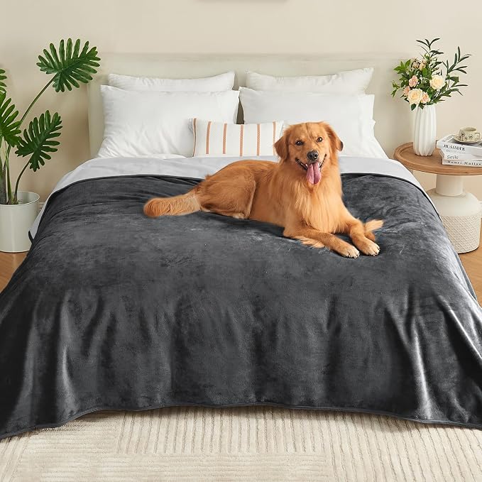 Waterproof Blanket 60"x80" for Adults, Reversible Waterproof Bed Cover for Dogs Cats Pets, Soft Leakproof Blanket for Bed Couch Sofa Furniture Protector, Dark Grey/Light Grey by Yaning