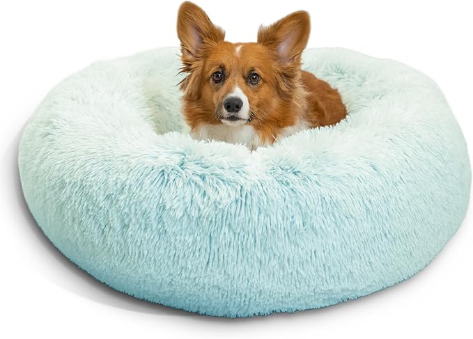 Best Friends by Sheri The Original Calming Donut Dog Bed for Medium Dogs up to 45 lbs, Shag Faux Fur, Baby Blue, 30" x 30" by BestFriendsbySheri
