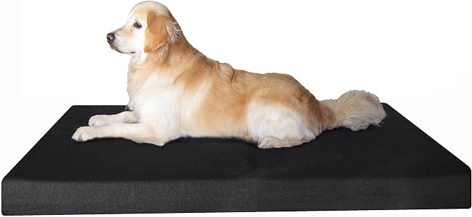 Dogbed4less Extra Large Orthopedic Gel Infused Cooling Memory Foam Dog Bed, Waterproof Liner with Durable Black Canvas Cover, XXL 55X37X4 Inch by Dogbed4less