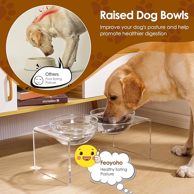 Acrylic Elevated Dog Cat Bowls Pet Feeder Double Bowl Raised Stand Comes with 2 Removable Glass Bowls and 2 Stainless Steel Bowls.Perfect for Large Dogs, 7.2" Tall - Image 3