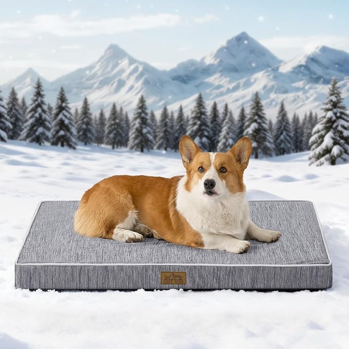 COZY KISS Cooling Orthopedic Dog Bed, Q-Max >0.5 Waterproof Egg Crate Foam Pet Bed with Removable Washable Cover, 36x27x3 Inch,Dark Grey by COZYKISS