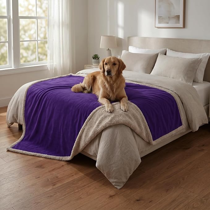Kritter Planet Waterproof Bed Blanket for Dogs, Washable Stain Proof Pad Bed Cover, Reversible Leakproof Furniture Protector, Liquid Proof Blanket for Couch Sofa, 80x60 inch, Queen Size, Purple by KritterPlanet
