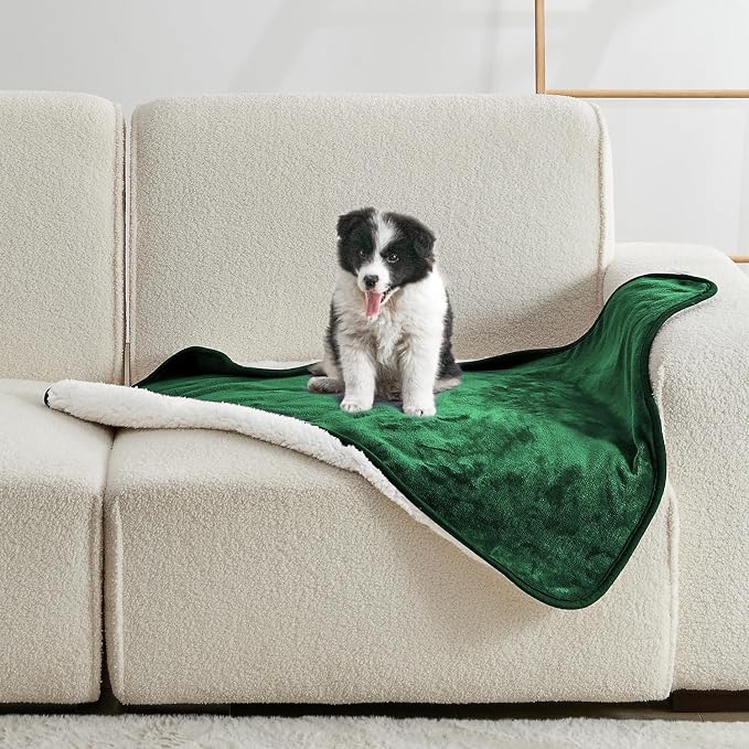 Waterproof Blanket for Bed Couch Sofa, Soft Liquid Pee Proof Pet Blanket for Dog Puppy Cat, Reversible Sherpa Fleece Furniture Protector (Green, 30x40 inches) by Yaning