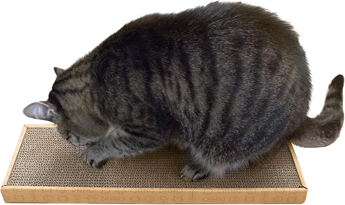 Furhaven Scratching Board w/ Catnip for Indoor Cats, Reversible - Classic Corrugated Cat Scratcher Pad - Yellow, Small - Image 2