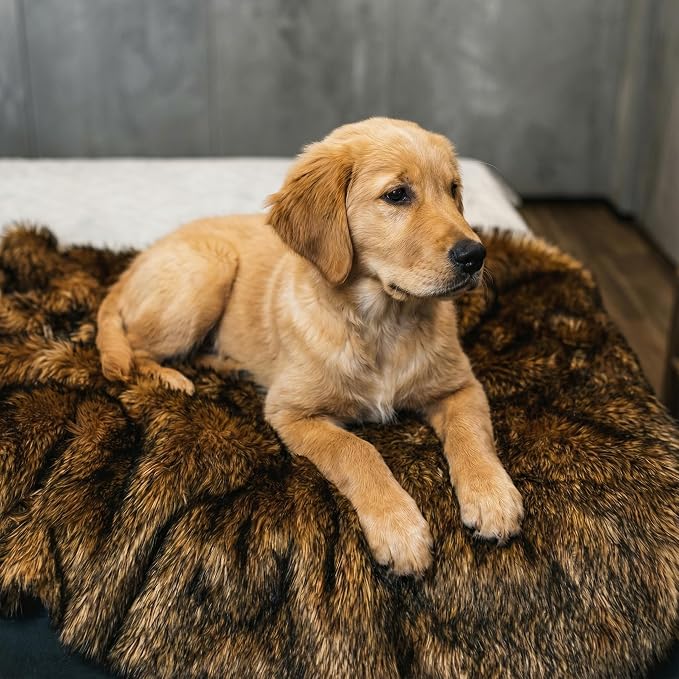 IHAPPYDOG Faux Fur Dog Blanket, Waterproof Couch Cover, Brown 60"x50" | Plush Sheepskin Style Pet Throw for Sofa, Bed, and Car, Washable Furniture Cover that Protects From Fur and Spills - Image 3