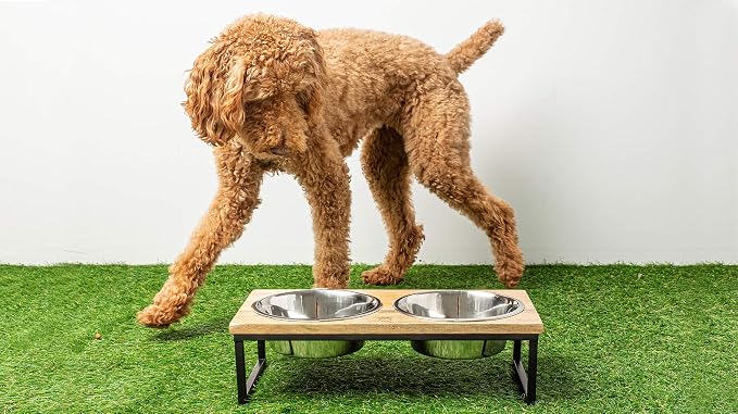 Mango Wood Dog Bowl Stand - Elevated Pet Feeder with 2 Stainless Steel Bowls - Raised Food and Water Dish Set for Dogs and Cats, Available in 4 Sizes, Pet Dining Station, Medium/24oz - Image 6
