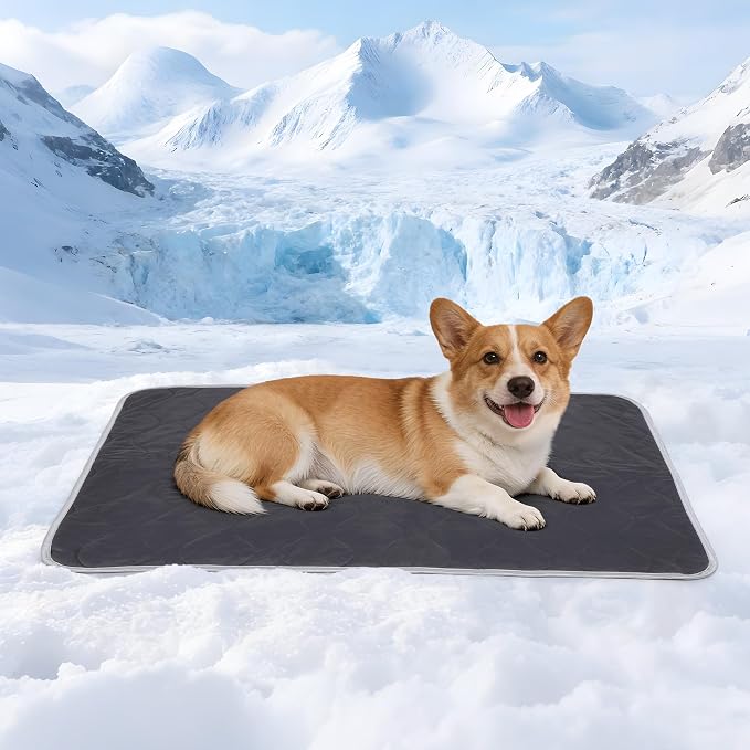 Cooling Blanket for Dogs - Q-MAX>0.4 Waterproof Pet Throw Blanket Bed Cover, Non-Slip Dog Blankets for Couch Protector, Washable Furniture Cover for Summer, Grey,30x40 by ZAKAPAWS
