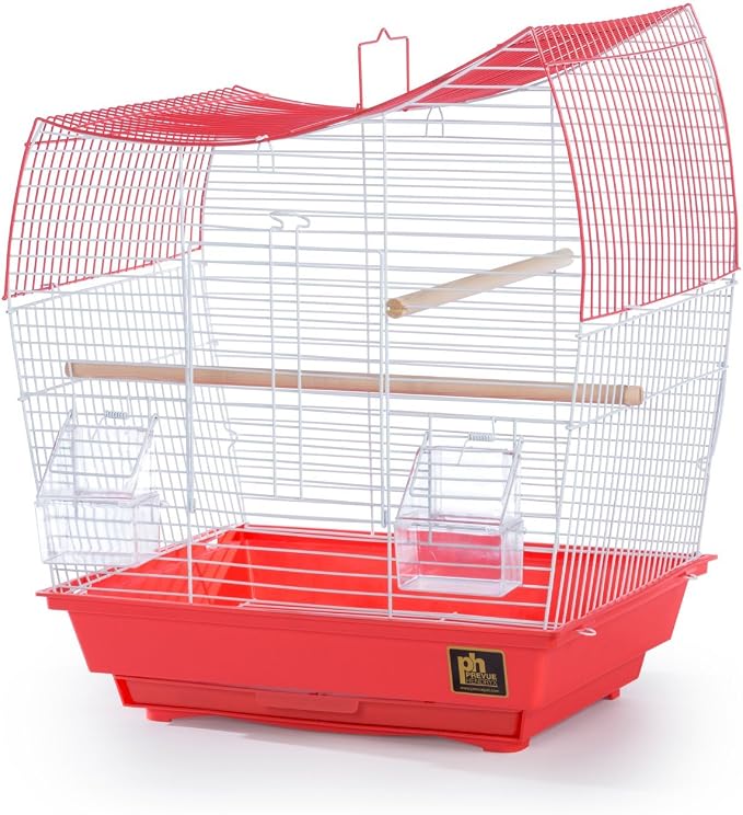Prevue Pet Products South Beach Wave Top Bird Cage, Lime Green (SP50081) - Image 5