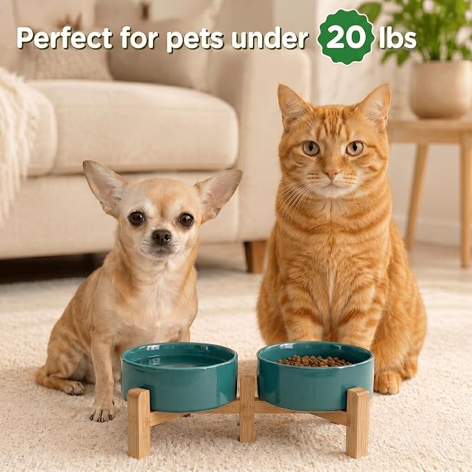 SPUNKYJUNKY Elevated Dog Bowls Ceramic, 5.1'' Dogs and Cat Food Water Bowls Raised with Non-Slip Bamboo Stand for Puppy Small Sized Breed Microwave Dishwasher Safe - 13.5 OZ,Dark Green - Image 7