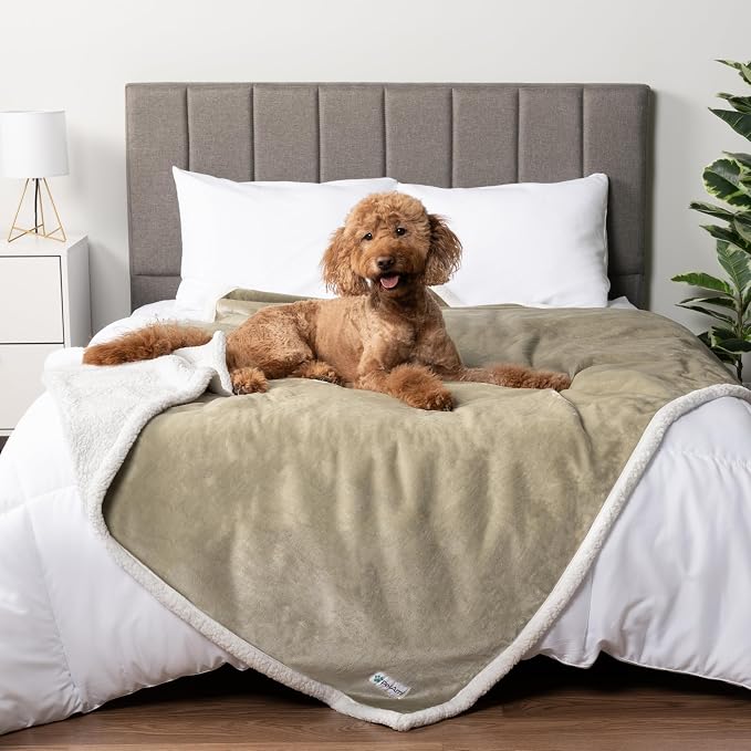 PetAmi Waterproof Dog Blanket for Couch, Queen 90x90, Pee Proof Sherpa Fleece Reversible Pet Throw, Furniture Protector for Bed Sofa, Soft Washable Cover for Large Dogs Cats, Taupe by PetAmi