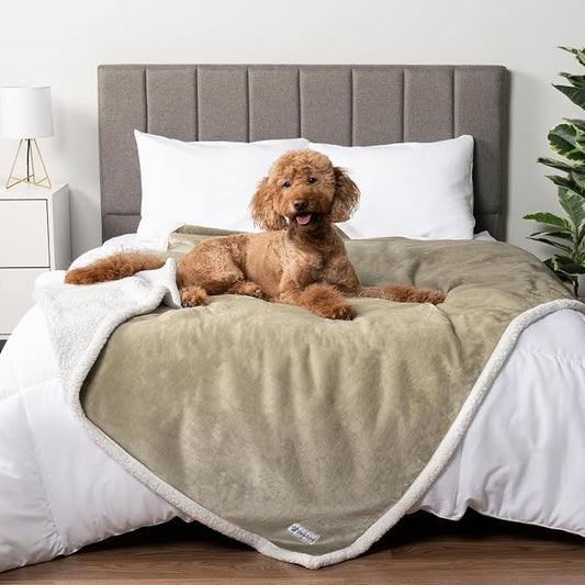 PetAmi Waterproof Dog Blanket for Couch, Queen 90x90, Pee Proof Sherpa Fleece Reversible Pet Throw, Furniture Protector for Bed Sofa, Soft Washable Cover for Large Dogs Cats, Taupe by PetAmi