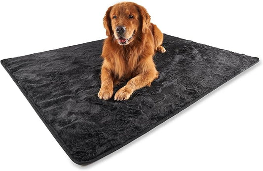 PAW BRANDS PupProtector Waterproof Throw Blanket, Midnight Black, 80x62 | Waterproof, machine washable — protects couches, beds & car seats by PAWBRANDS