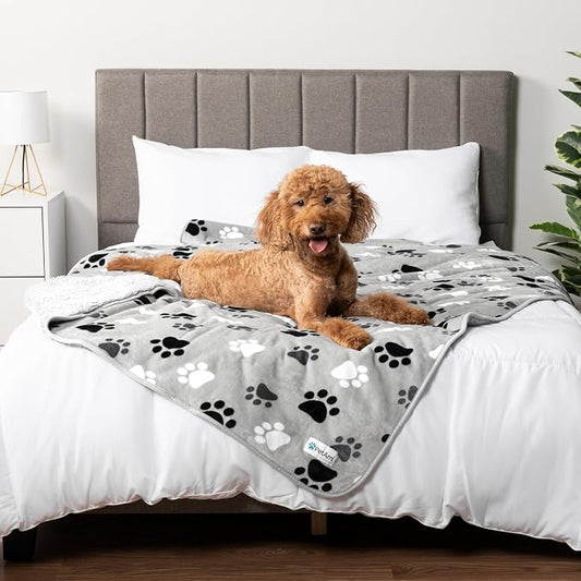 PETAMI Sherpa Fleece Waterproof CAT and Dog Blanket, PAW Gray, Queen by PetAmi