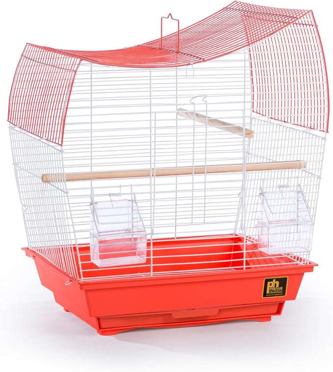 Prevue Pet Products South Beach Wave Top Bird Cage, Lime Green (SP50081) - Image 8