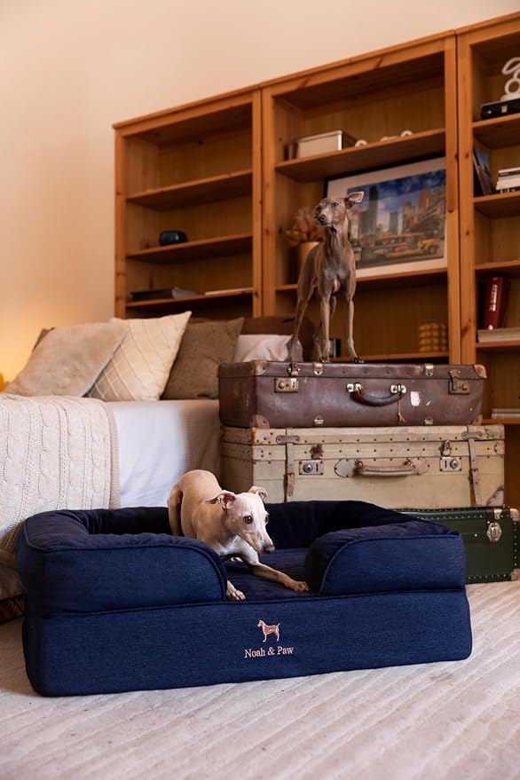 NOAH & PAW Large Dog Bed, 35x25x11 Inch, Orthopedic Dog Beds, Eggshell Memory Foam Infused with Cooling Gel, Inner Cover, Water Resistant, Machine Washable (Denim Sofa Collection) - Image 3