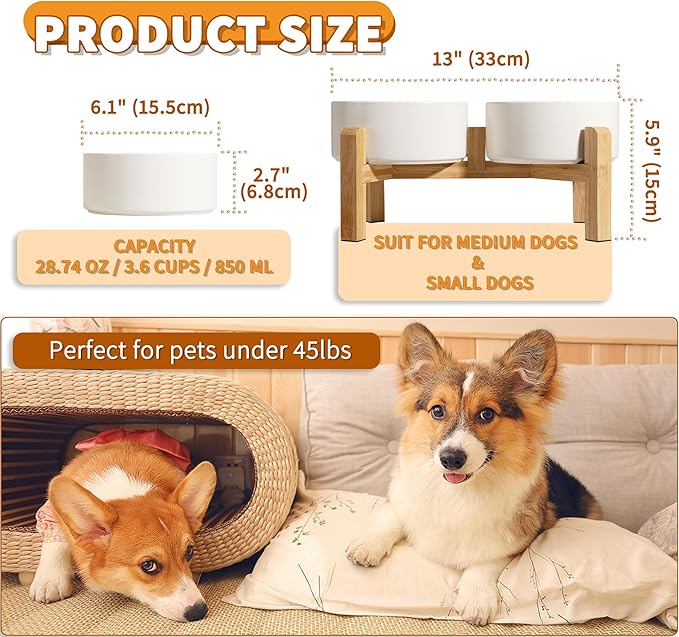 Elevated Ceramic Dog Bowl, 3.6 Cups Dog Food and Water Bowl Set with Stand | 6.1'' Double Dog Feeding Dishes, Non-Slip Raised Dog Feeder for Small and Medium Breeds, 28.74 OZ / 850 ML, White - Image 2