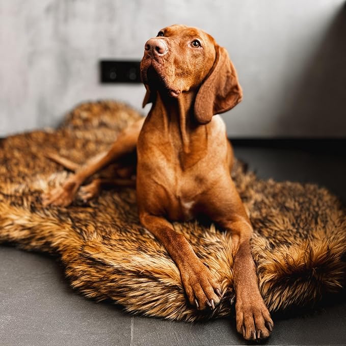 Faux Fur Orthopedic Dog Bed, Memory Foam, Brown 50"x30" | Plush Washable Dog Rug with Waterproof Machine Washable Cover, Calming for Anxious Senior Dogs, Relieves Joints - Image 6