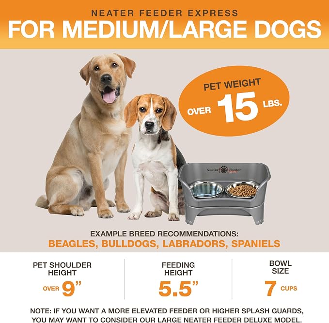Neater Feeder Express Mess Proof Dog Bowls Elevated for Medium to Large Sized Breed, No Spill Raised Dog Food Bowl Stand, Stainless Steel Food and Water Bowl Set, Pet Dish Feeding Station, Grey - Image 5