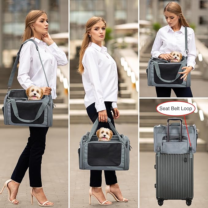 EliteField Deluxe Soft-Sided Pet Carrier (3 Year Warranty, Airline Approved), Travel Bag for Dogs, Cats & Small Pets, with Expandable Mat