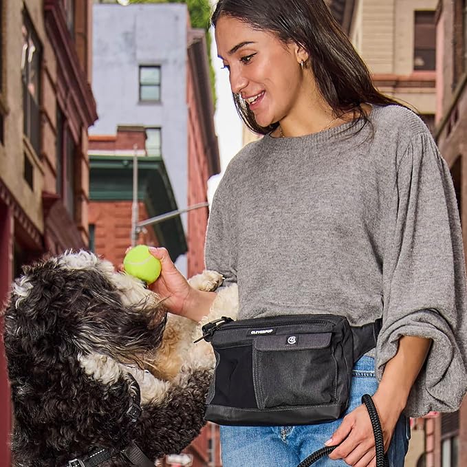 Cleverpup Dog Walk & Train Sling Bag - Hands-Free Dog Walking & Training Bag with Treat Pouch, Poop Bag Holder & Phone Pocket - Crossbody or Fanny Pack, Adjustable Strap - Graphite - Image 6