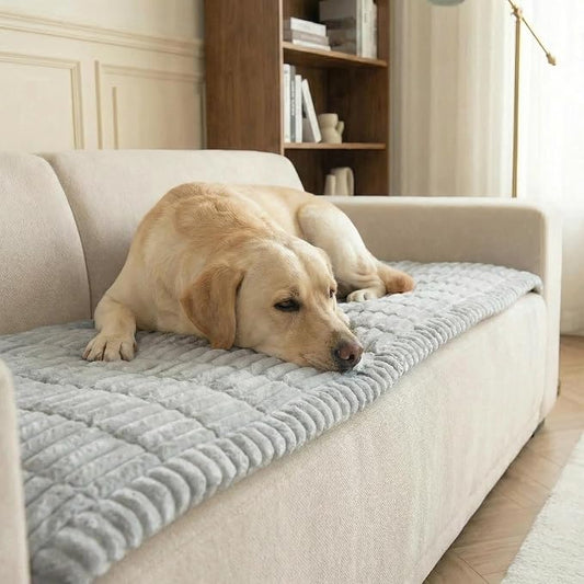 Fuzzy Pet Couch Cover for Sofa,Non Slip Sofa Cover Pet Friendly Couch Covers for Dogs Washable Protector for Pets Mat Dog Bed Mats (Light Grey, 27.6"x59") by SONNACH
