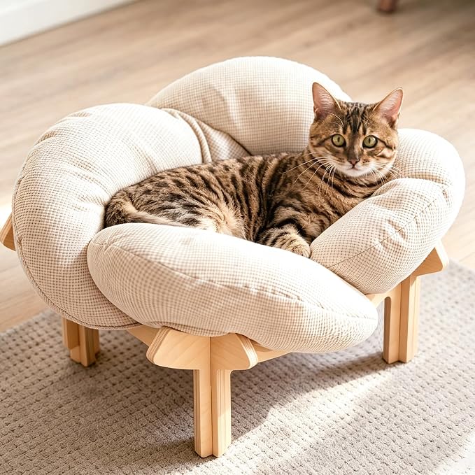 PACHIRA Elevated Cat Bed Wooden, Cat Couch Fluffy, Cat Sofa Flower for Indoor Cats, Raised Cat Bed with Washable Fluffy Cushion and Birch Wood, Cat Chair for Kitty and Puppy, Cat Furniture (White) by Unknown