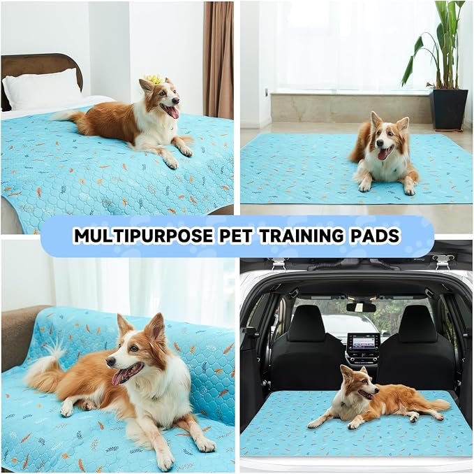 Sunheir 2 Pack Washable Guinea Pig Pee Pads, 24" x 48" Waterproof Reusable Guinea Pig Cage Liners, Absorbent Bedding Training Mat for Small Animal Guinea Pigs Rabbit Bunny Hamster - Sky Blue - Image 5
