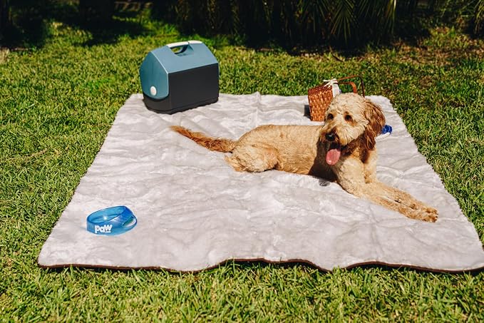 PupProtector Waterproof Throw Blanket for Dogs and Cats, Pet Blanket Cover for Couches, Sofas, Beds, Car Seats, Furniture, Calming Soft Faux Fur, Short Grey, Large (80" L x 62" W) | Waterproof, machine washable — protects couches, beds & car seats - Image 7