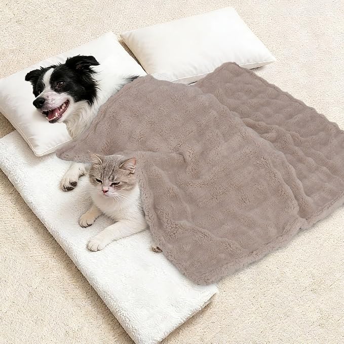 Dog Blankets Washable Pet Blanket - Fluffy Fuzzy Cat Puppy Blanket with Premium 300GSM 3D Fleece Bubble for Pet Kitten Doggy, Linen, 25x35IN - Image 6