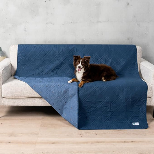 PetAmi Waterproof Couch Cover for Dogs, Non-Slip Leakproof Sofa Furniture Protector for Pet Cat, Machine Washable Bed Blanket for Car Seat, 52x82 Blue by PetAmi