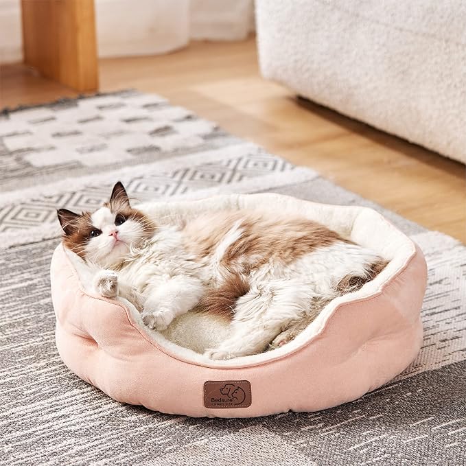 Bedsure Small Dog Bed Washable,Round Cat Beds for Indoor Cats,20in | Peach Pink Soft Plush Pet Bed,Dog Beds for Small Dogs for Puppy and Kittens,Anti-Slip Bottom,Easy to Clean - Image 2