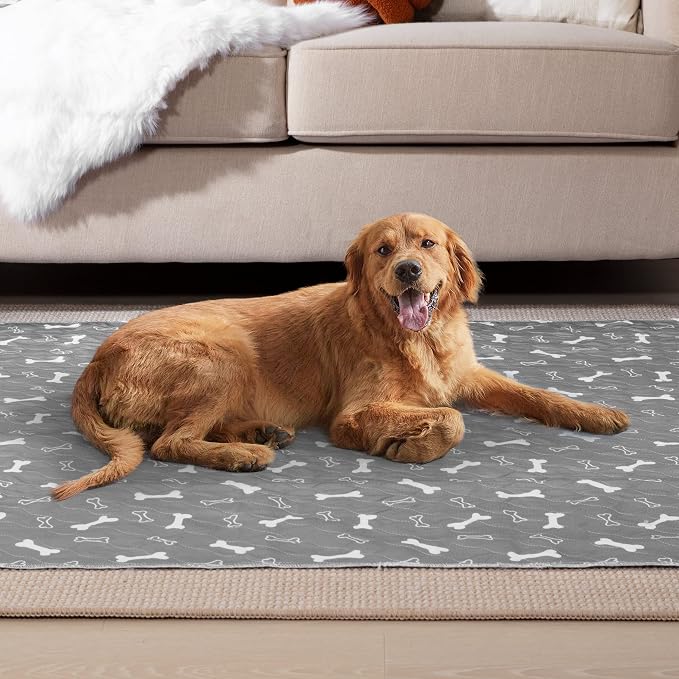 Eterish Reusable Washable Pee Pads for Dogs Extra Large 36'' x 48'' 2 Pack, Absorbent Pet Puppy Dog Training Pads Non-Slip, Waterproof Whelping Potty Pads for Dogs Leak-Proof - Image 7