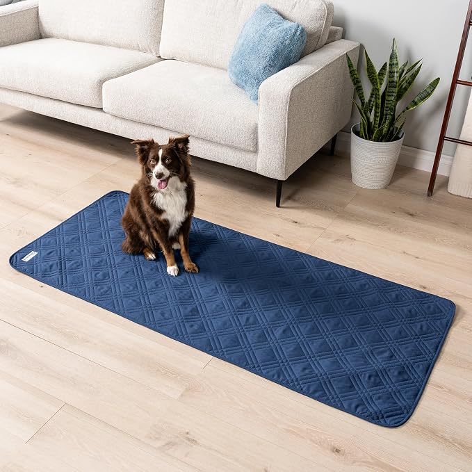 PetAmi Waterproof Couch Cover for Dogs, Non-Slip Leakproof Sofa Furniture Protector for Pet Cat, Machine Washable Bed Blanket for Car Seat, 30x70 Blue - Image 2