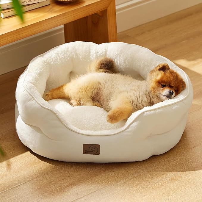 Bedsure Small Dog Bed Washable,Round Cat Beds for Indoor Cats,25in Ivory | Soft Plush Pet Bed,Dog Beds for Small Dogs for Puppy and Kittens,Anti-Slip Bottom,Easy to Clean - Image 7