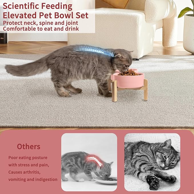 Elevated Ceramic Dog Bowl, 2 Cups Dog Food and Water Bowl Set with Stand | 5.1'' Double Dog Feeding Dishes, Non-Slip Raised Dog Feeder for Cats and Puppies, 16.23 OZ / 480 ML, White - Image 4