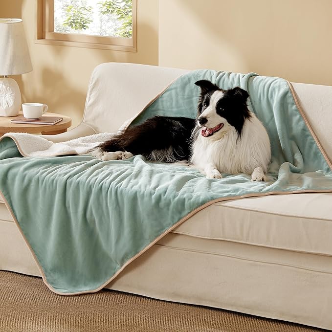 Bedsure Waterproof Dog Blankets for Large Dogs Sherpa Fleece Throw, 40X50 | Washable Soft Plush Pet Cat Blanket for Couch Cover, Reversible Cozy Calming Sofa Protector Warm for Senior Dogs,Light Green by Unknown
